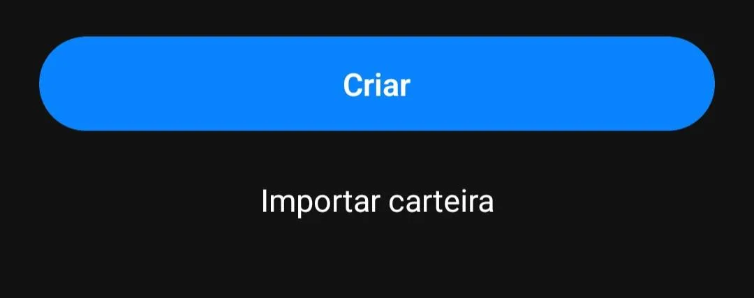 Passo 13 para criar carteira de Bitcoin: Digitar palavras-chave
