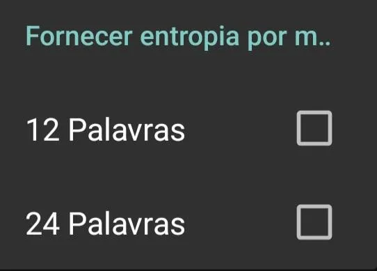 Passo 5 para criar carteira de Bitcoin: Selecionar número de palavras